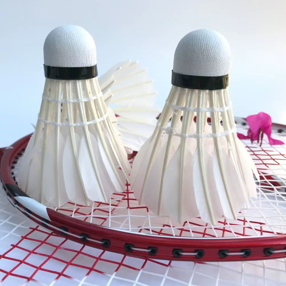 3/6/12Pcs Professional Training Sport Badminton Ball Badminton Shuttlecock White Badminton Shuttlecock