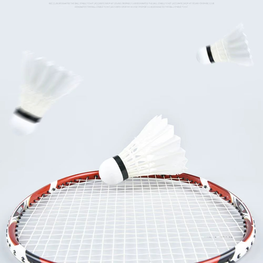 3/6/12Pcs Professional Training Sport Badminton Ball Badminton Shuttlecock White Badminton Shuttlecock